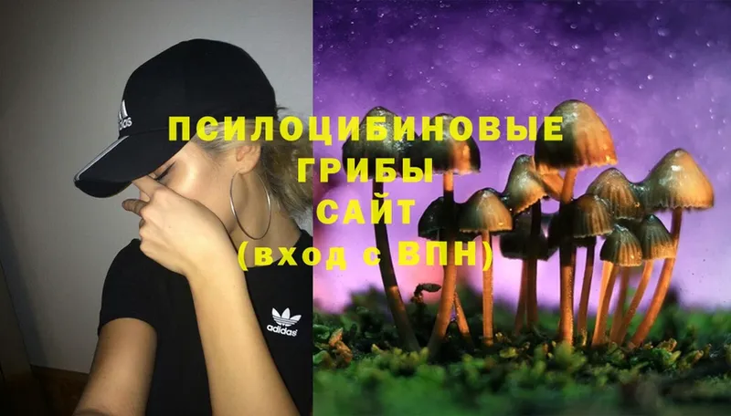 Галлюциногенные грибы Magic Shrooms  Талдом 